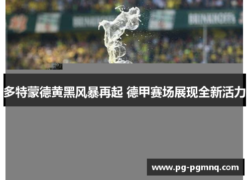 多特蒙德黄黑风暴再起 德甲赛场展现全新活力